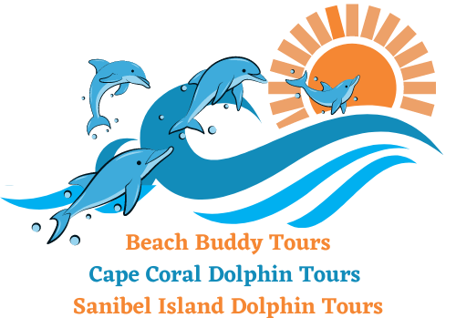 Private Dolphin, Shelling and Sightseeing Boat Tours