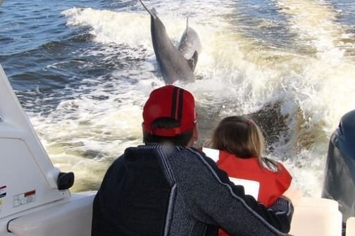 People on a boat watch a dolphin leaping in a body of water.