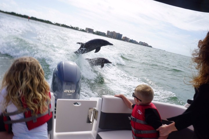Children on a boat watch dolphins jumping in the ocean.