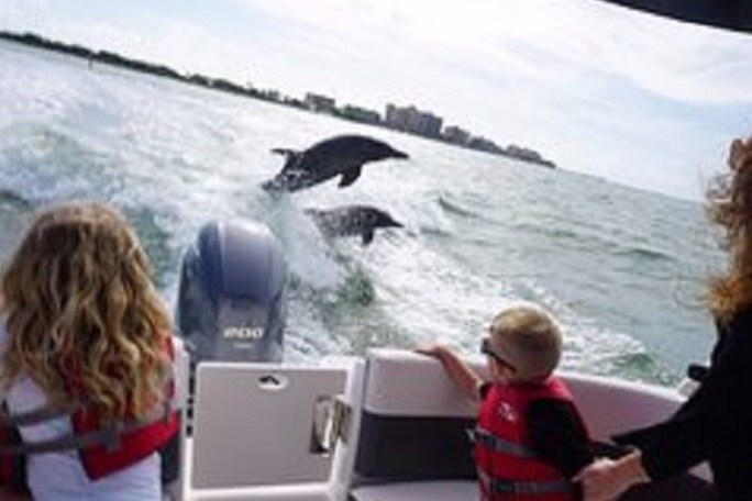 Two children on a boat watch dolphins jumping in water.