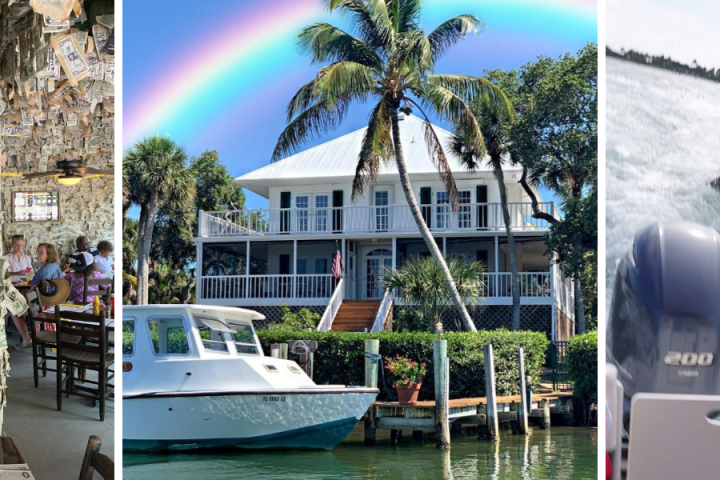Collage: dollars on café ceiling, rainbow over house, dolphins near boat.