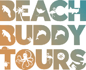 Beach Buddy Tours