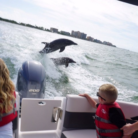 Children on a boat watching dolphins jump in the water.
